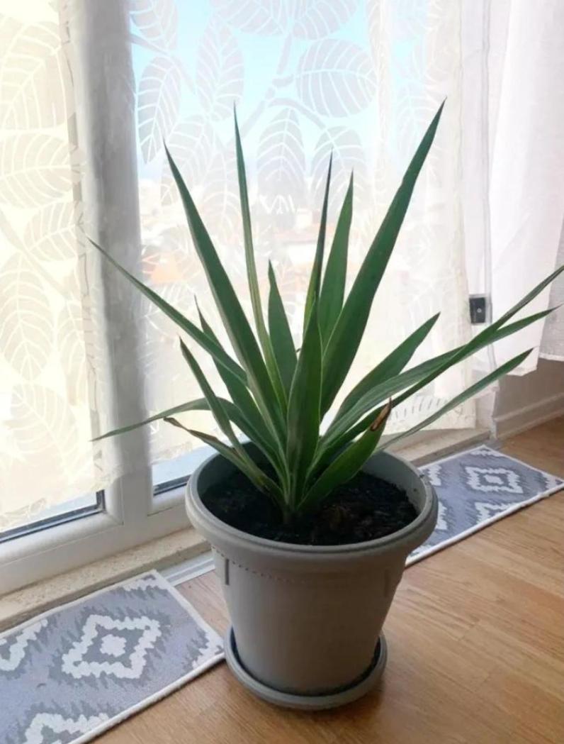Beautiful And Lovely Apartment Тирана Екстер'єр фото